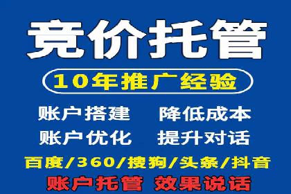 SEM服务优势案例分享